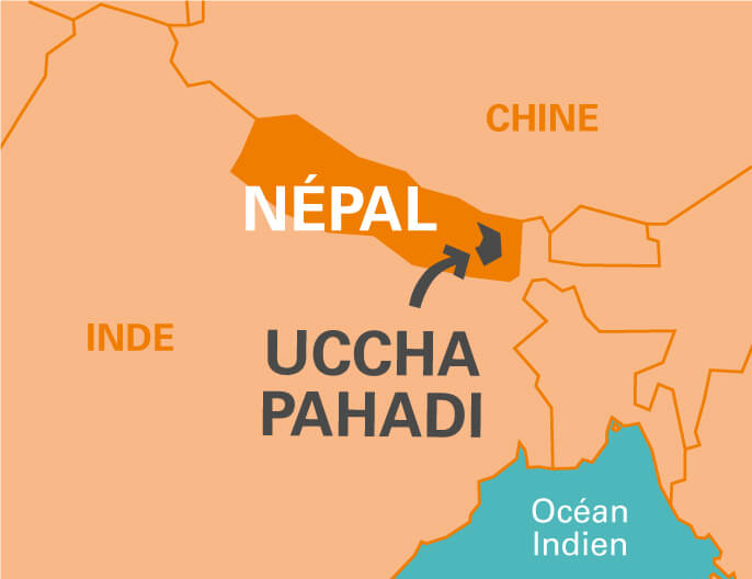 Carte cooperative Uccha Pahadi au NÃ©pal- thÃ© Oolong Himalaya